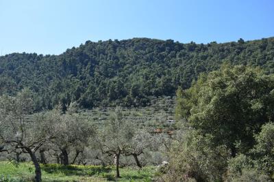 Real-Estate-1058--3-