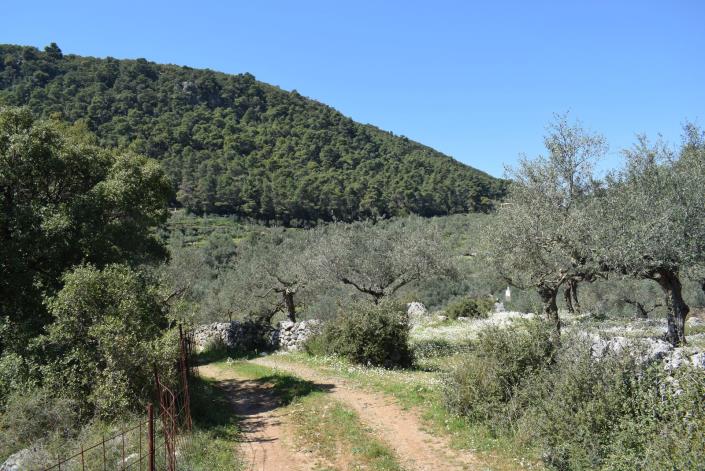 Image No.5-Bungalow à vendre à Messinia