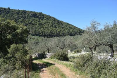 Real-Estate-1058--4-