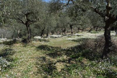 Real-Estate-1058--5-