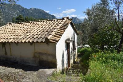 Real-Estate-1058--7-