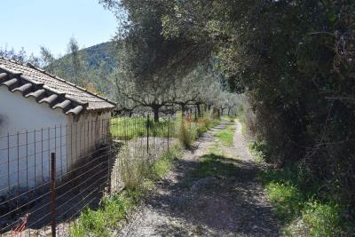 Real-Estate-1058--8-