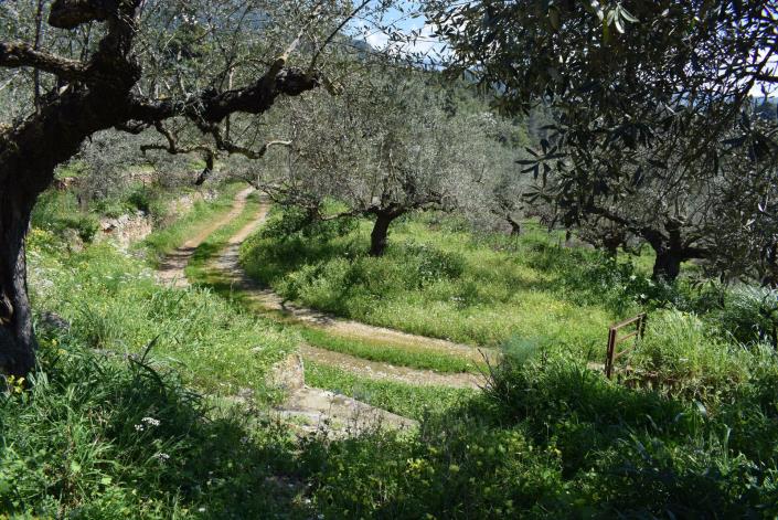 Image No.9-Bungalow à vendre à Messinia