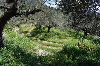 Real-Estate-1058--9-