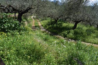 Real-Estate-1058--10-