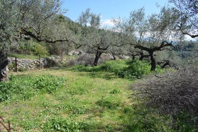 Real-Estate-1058--11-