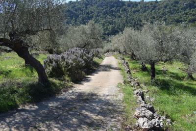 Real-Estate-1058--13-