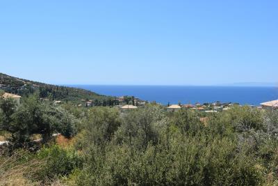 Real-Estate-249--13-