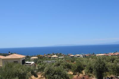 Real-Estate-249--16-