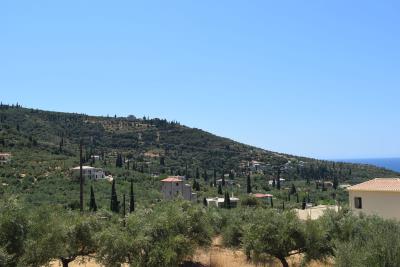 Real-Estate-249--15-