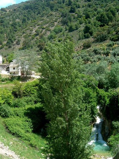 Image No.55-11 Bed Property for sale