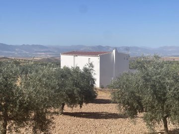 1 - Granada, Property