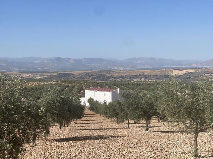 Image No.4-4 Bed Property for sale