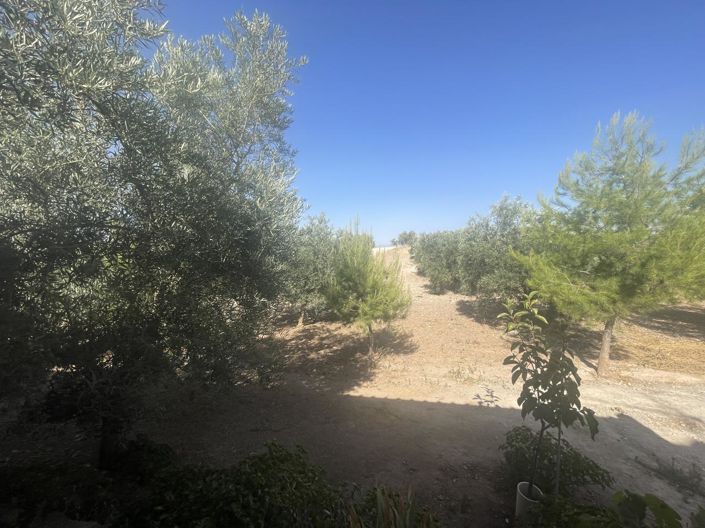 Image No.46-4 Bed Property for sale