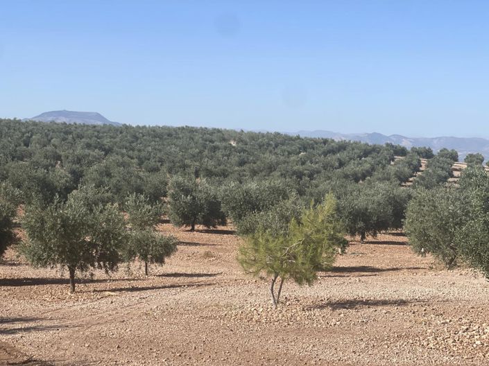 Image No.5-4 Bed Property for sale