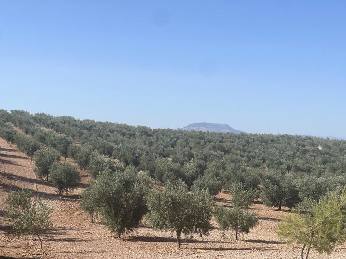 Image No.6-4 Bed Property for sale