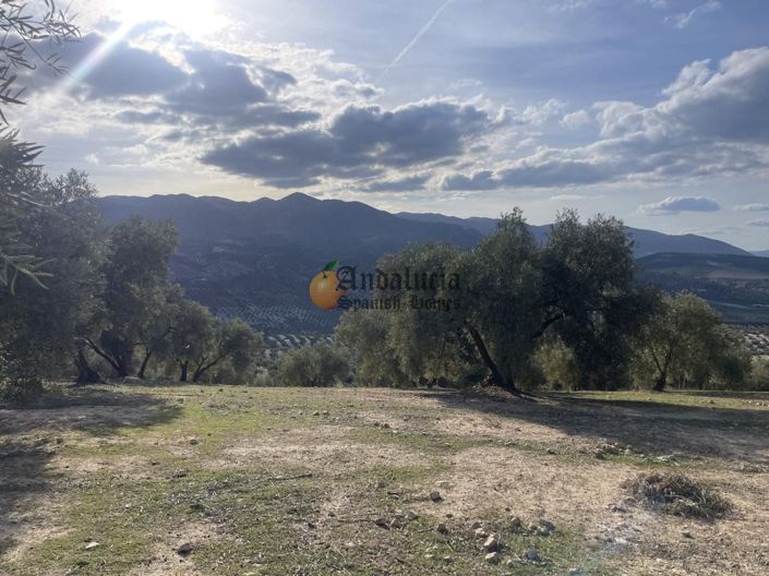 Image No.39-3 Bed Property for sale