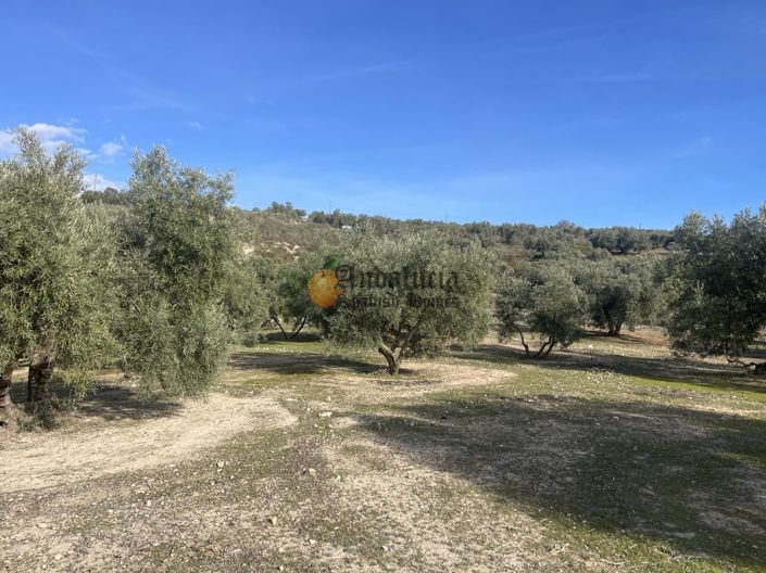 Image No.41-3 Bed Property for sale