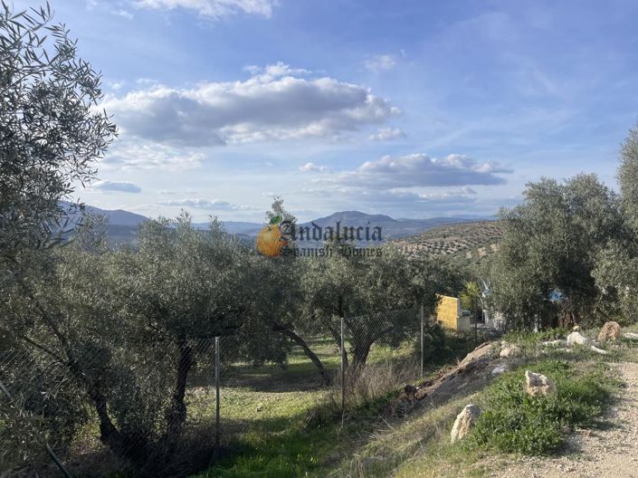 Image No.43-3 Bed Property for sale