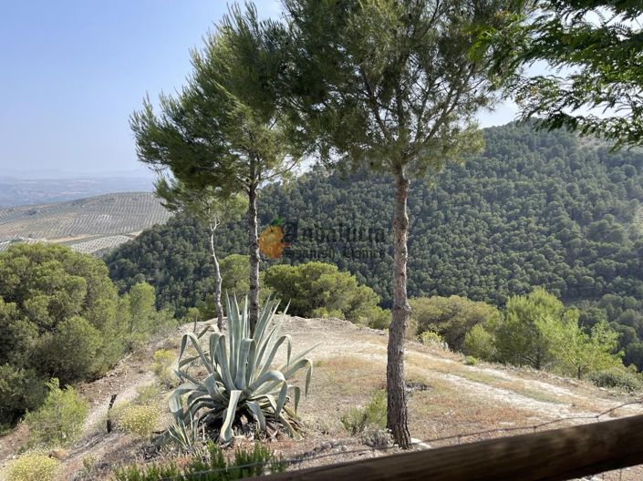 Image No.12-4 Bed Property for sale