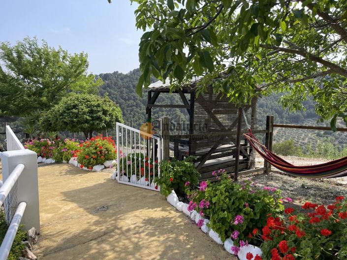 Image No.4-4 Bed Property for sale