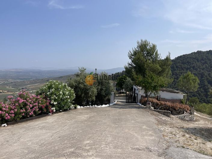 Image No.43-4 Bed Property for sale