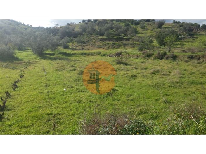 Image No.11-Terrain à vendre à Alcoutim