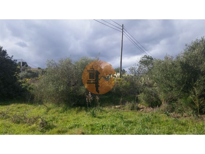 Image No.12-Terrain à vendre à Alcoutim