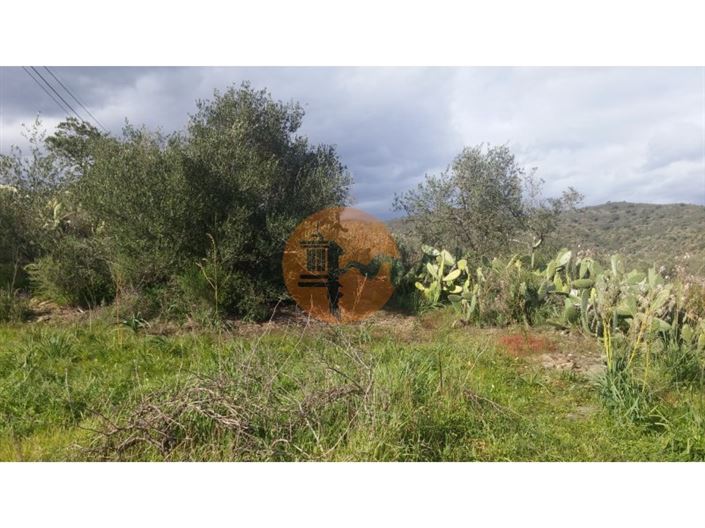 Image No.13-Terrain à vendre à Alcoutim