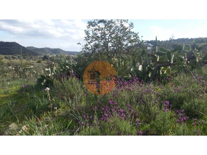 Image No.5-Terrain à vendre à Alcoutim