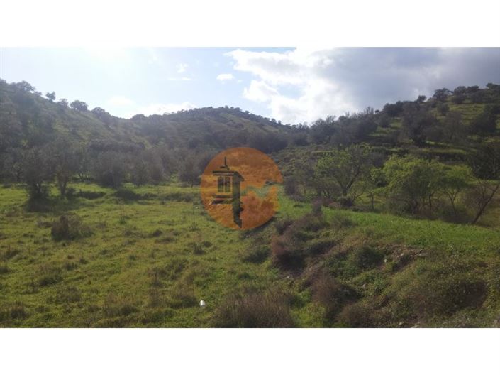 Image No.7-Terrain à vendre à Alcoutim