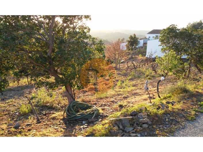 Image No.12-Plot for sale