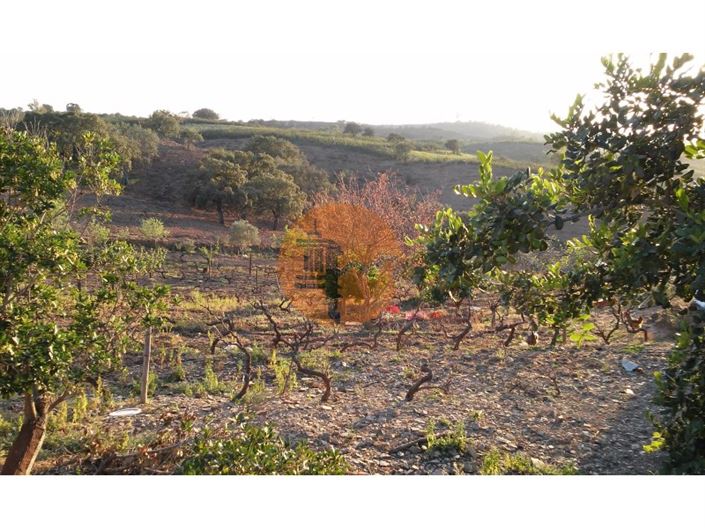 Image No.14-Plot for sale