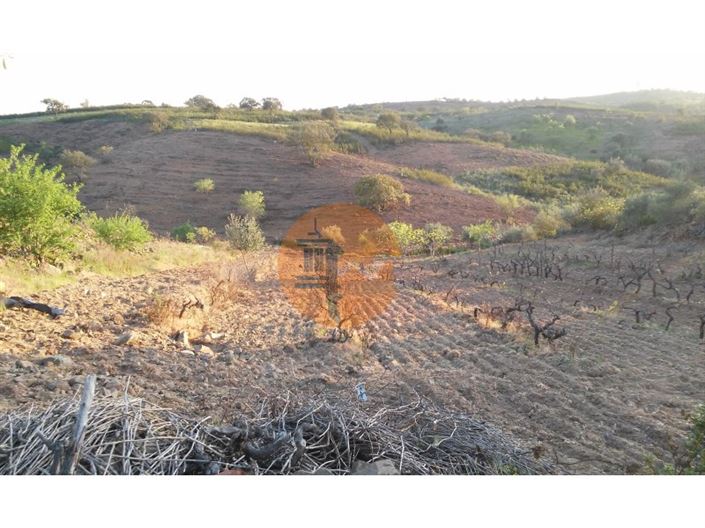 Image No.19-Plot for sale