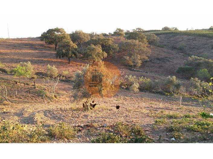 Image No.25-Plot for sale