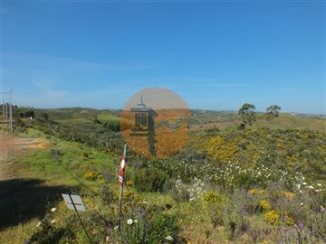 id80336900-0000-0500-0000-000010b889c8