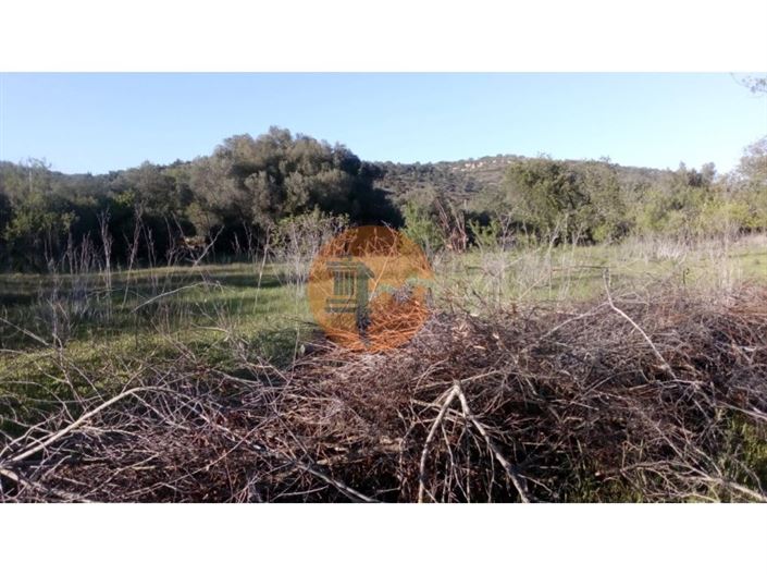 Image No.7-Plot for sale