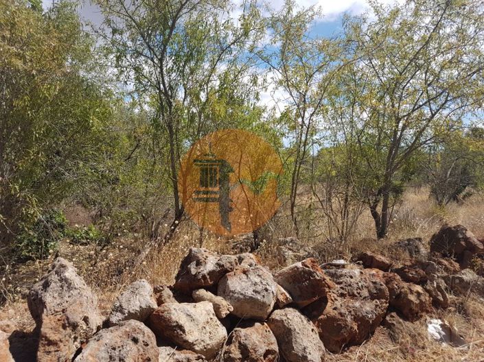 Image No.2-Terrain à vendre à Loule