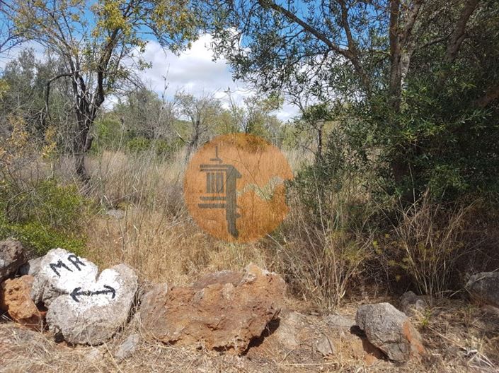 Image No.5-Terrain à vendre à Loule