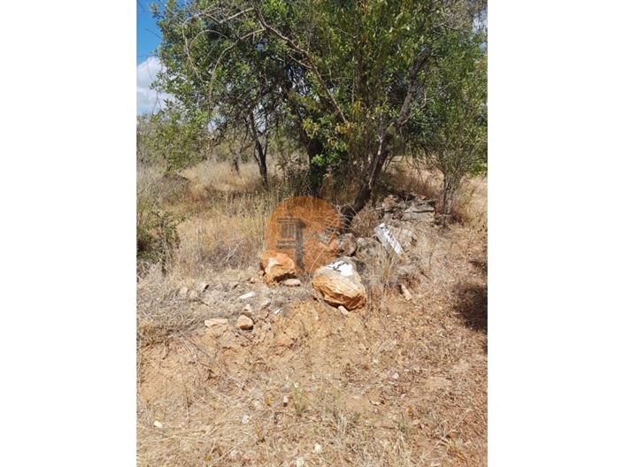 Image No.6-Terrain à vendre à Loule