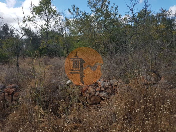 Image No.7-Terrain à vendre à Loule