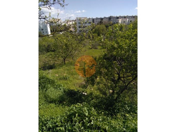 Image No.3-Plot for sale