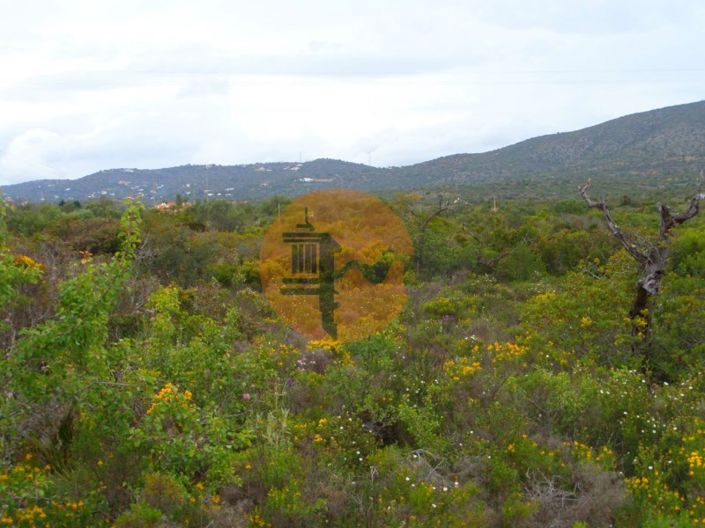 Image No.18-Plot for sale