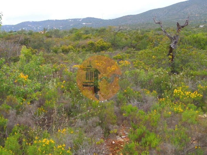 Image No.20-Plot for sale