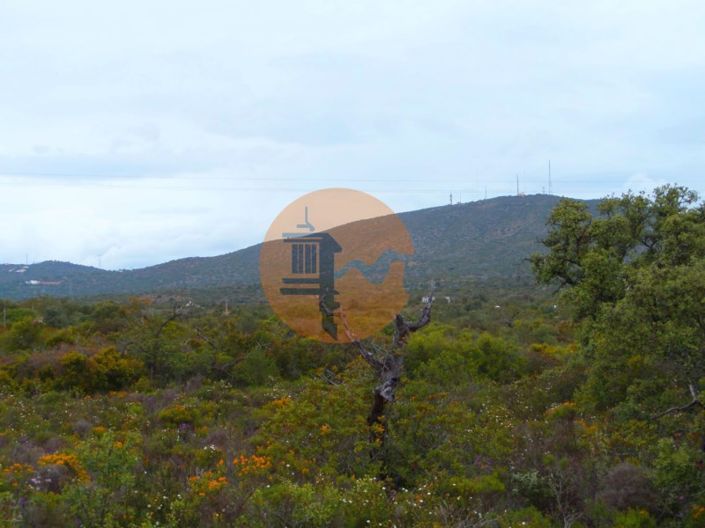 Image No.8-Plot for sale