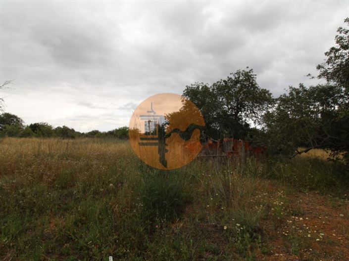 Image No.14-Plot for sale