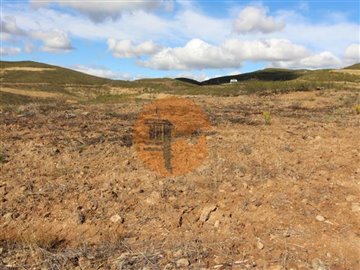 idd8819700-0000-0500-0000-000010c2e0ec