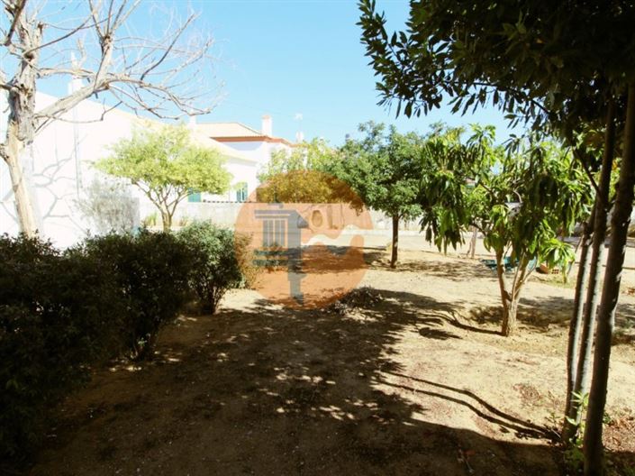 Image No.22-3 Bed House for sale