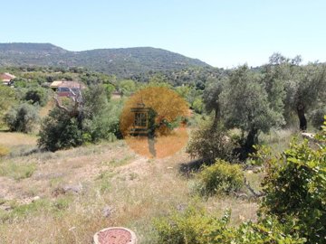 idc23baf00-0000-0500-0000-000010aea817