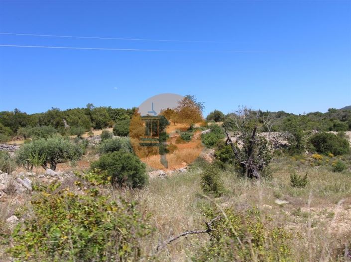 Image No.7-Plot for sale